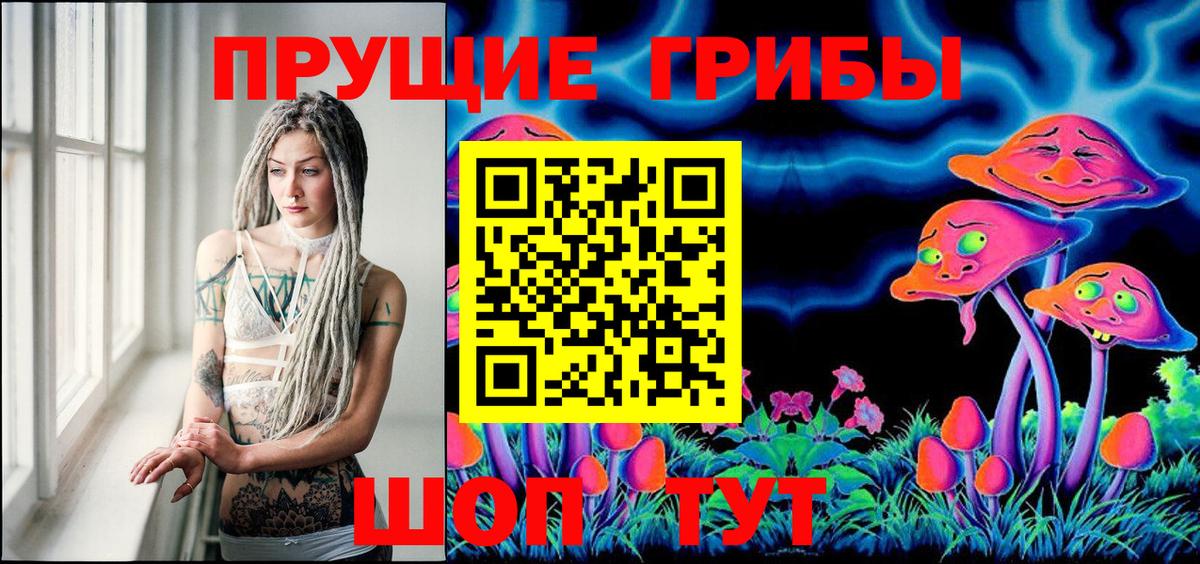 Псилоцибиновые грибы Psilocybine cubensis Борзя