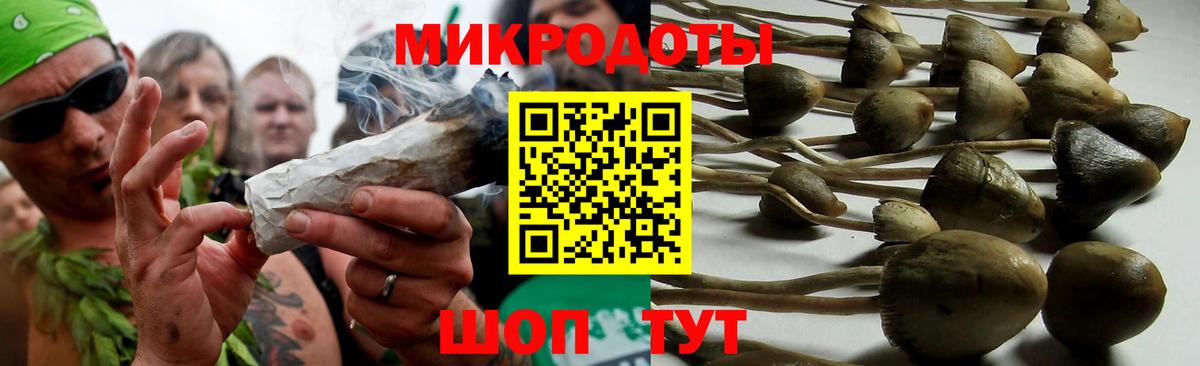 Псилоцибиновые грибы ЛСД  Галлюциногенные грибы Magic Shrooms  где можно купить   Вход с VPN  Борзя 